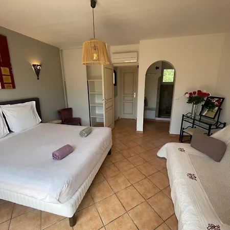 Avec Piscine 10x5 M Hotel 4*
